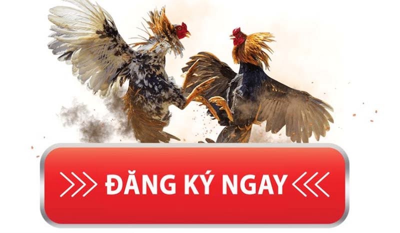 Đăng ký Ga62